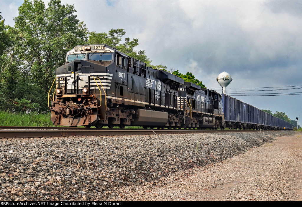 NS 8077 on 62V